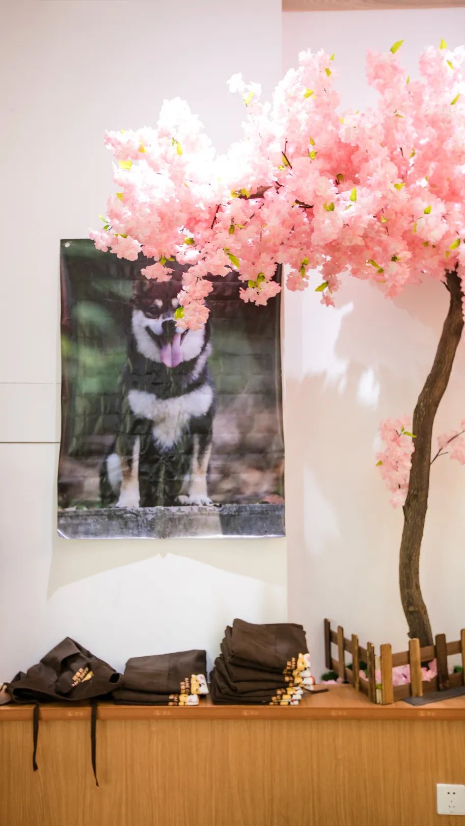 深圳宝安大咖啡厅拍照姿势_深圳宝安大咖啡厅拍照姿势_深圳宝安大咖啡厅拍照姿势