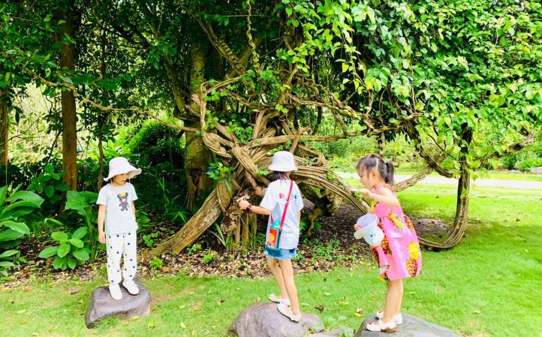 深圳宝安大咖啡厅拍照姿势_深圳宝安大咖啡厅拍照姿势_深圳宝安大咖啡厅拍照姿势