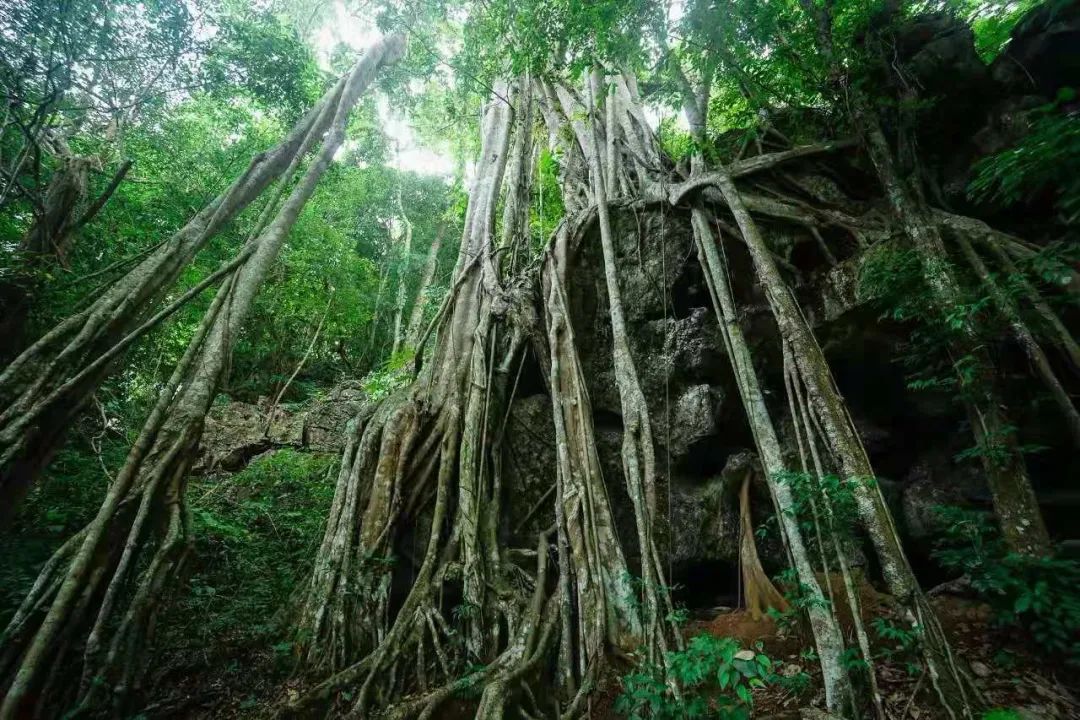 深圳宝安大咖啡厅拍照姿势_深圳宝安大咖啡厅拍照姿势_深圳宝安大咖啡厅拍照姿势