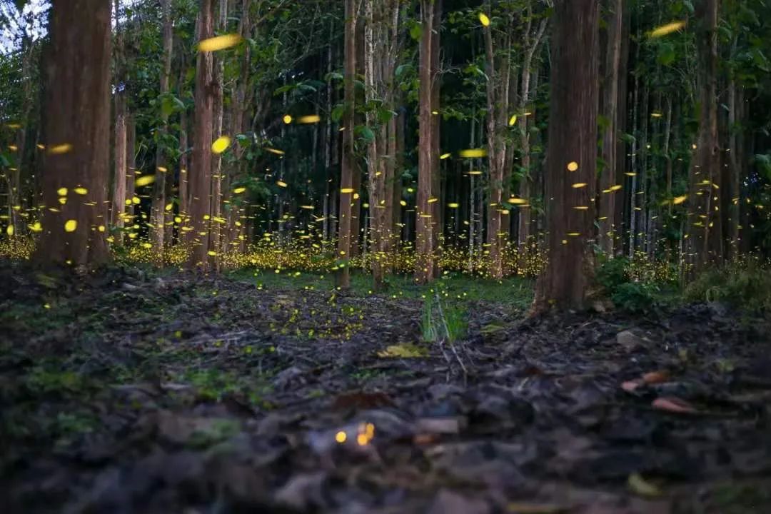 深圳宝安大咖啡厅拍照姿势_深圳宝安大咖啡厅拍照姿势_深圳宝安大咖啡厅拍照姿势