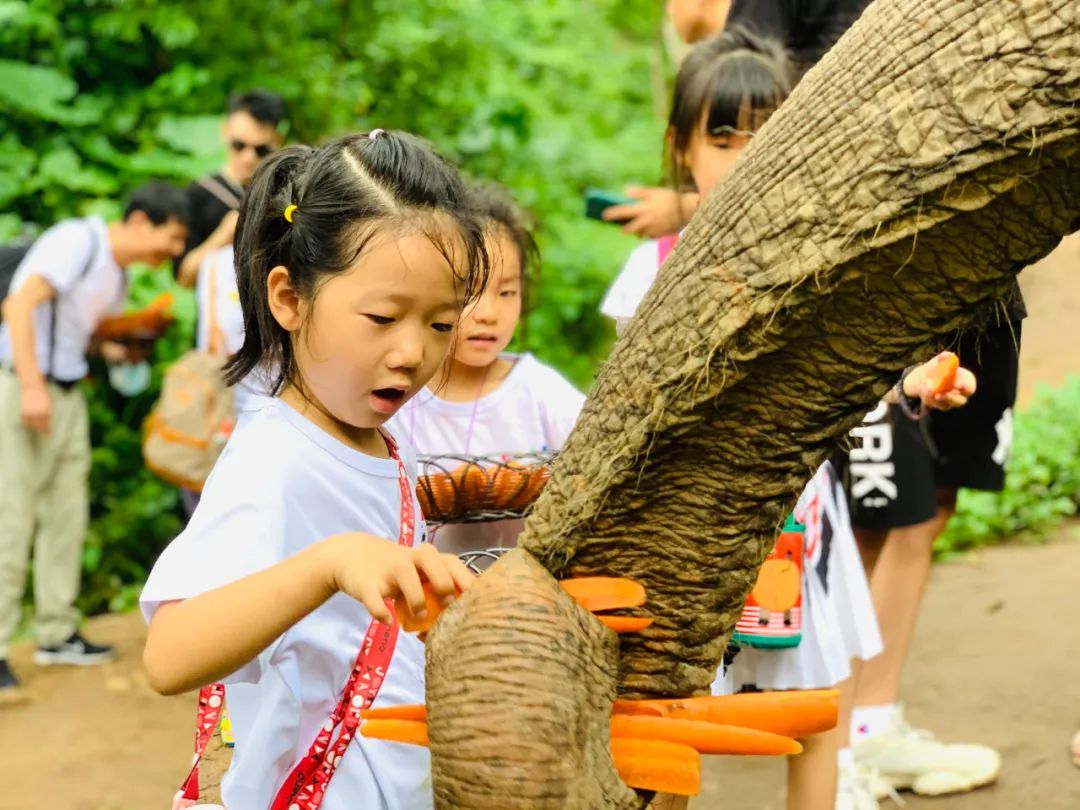 深圳宝安大咖啡厅拍照姿势_深圳宝安大咖啡厅拍照姿势_深圳宝安大咖啡厅拍照姿势