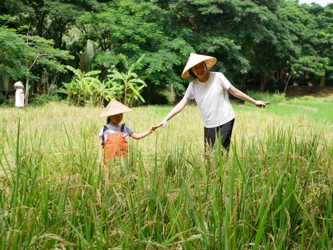 深圳宝安大咖啡厅拍照姿势_深圳宝安大咖啡厅拍照姿势_深圳宝安大咖啡厅拍照姿势